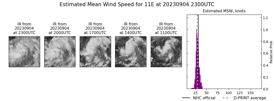 current 11E intensity image