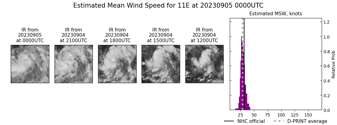 current 11E intensity image