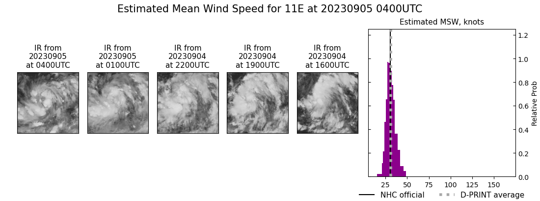 current 11E intensity image