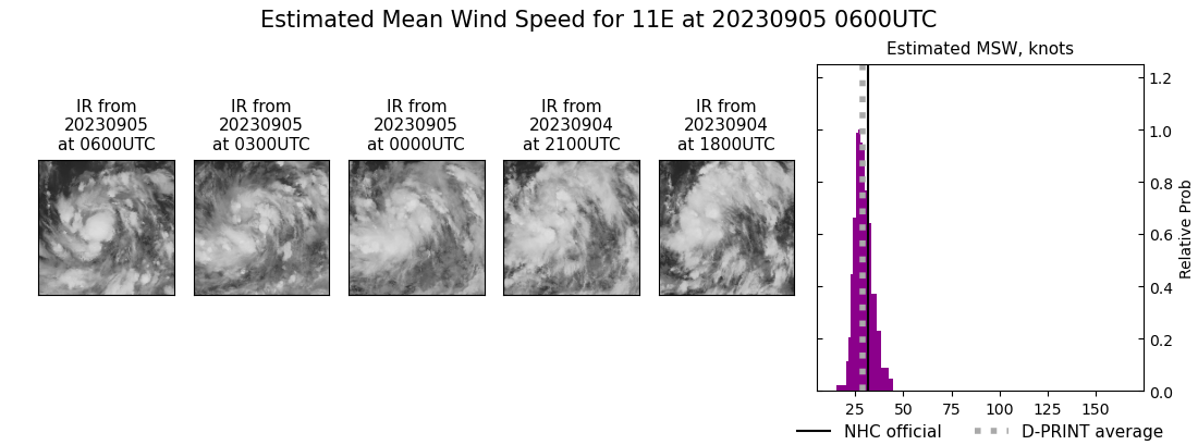 current 11E intensity image