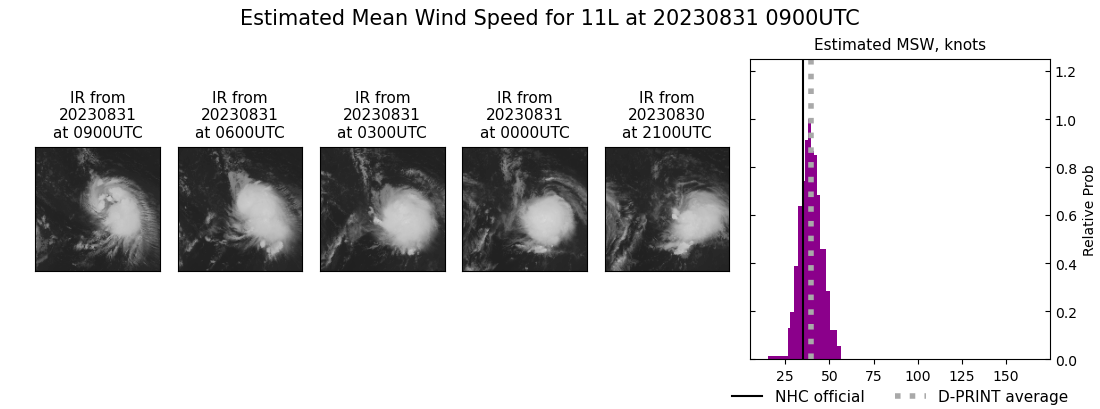 current 11L intensity image