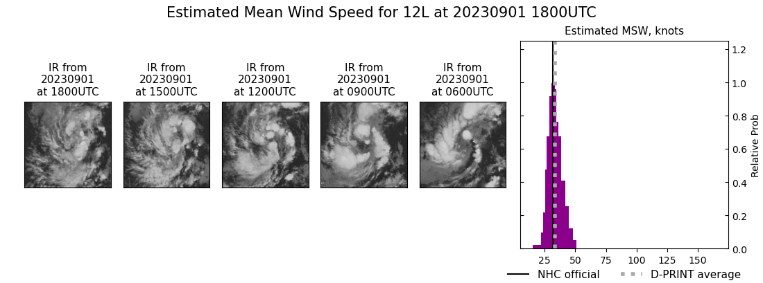 current 12L intensity image