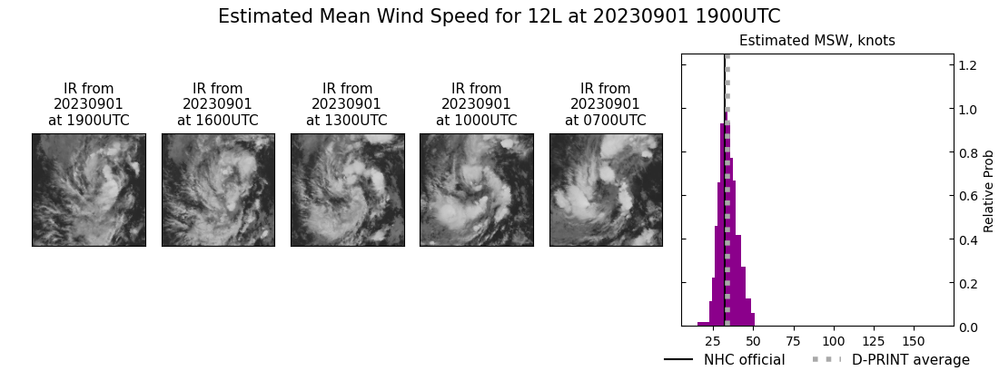 current 12L intensity image