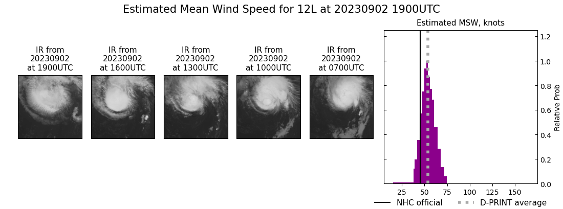 current 12L intensity image