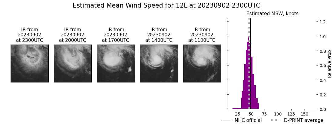 current 12L intensity image