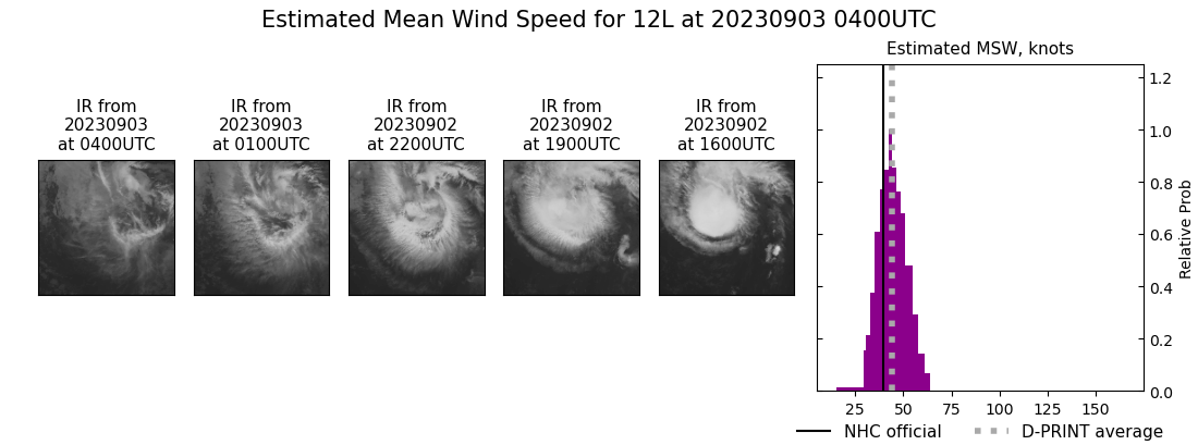 current 12L intensity image