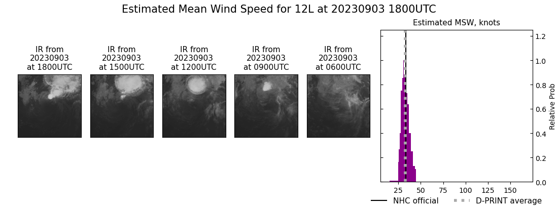 current 12L intensity image