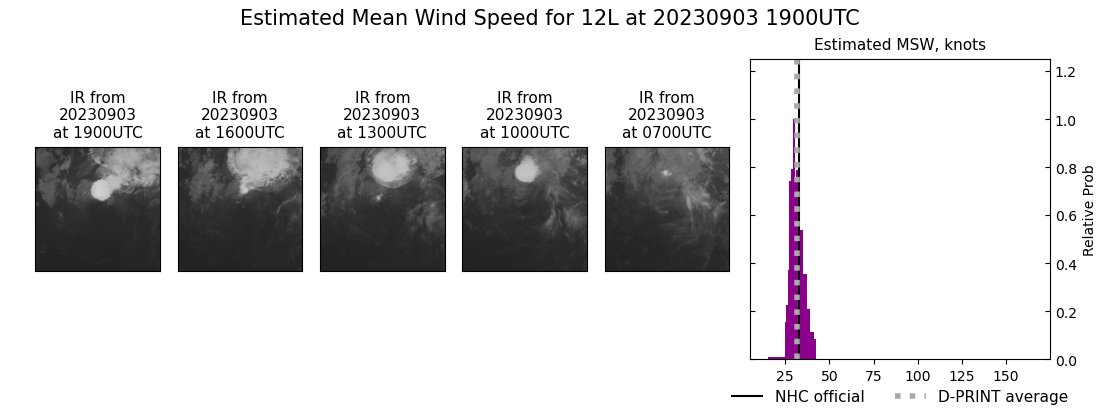 current 12L intensity image