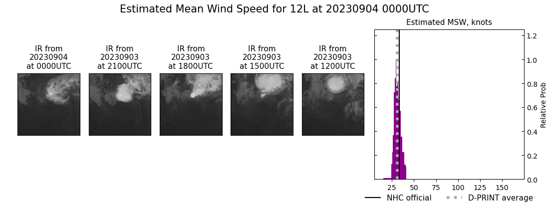 current 12L intensity image