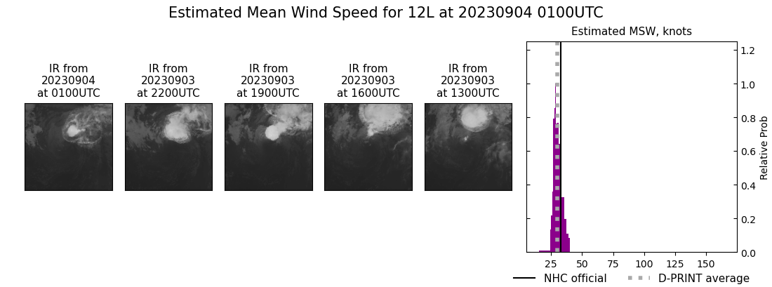 current 12L intensity image