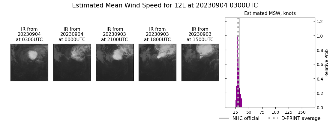 current 12L intensity image