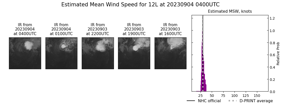 current 12L intensity image