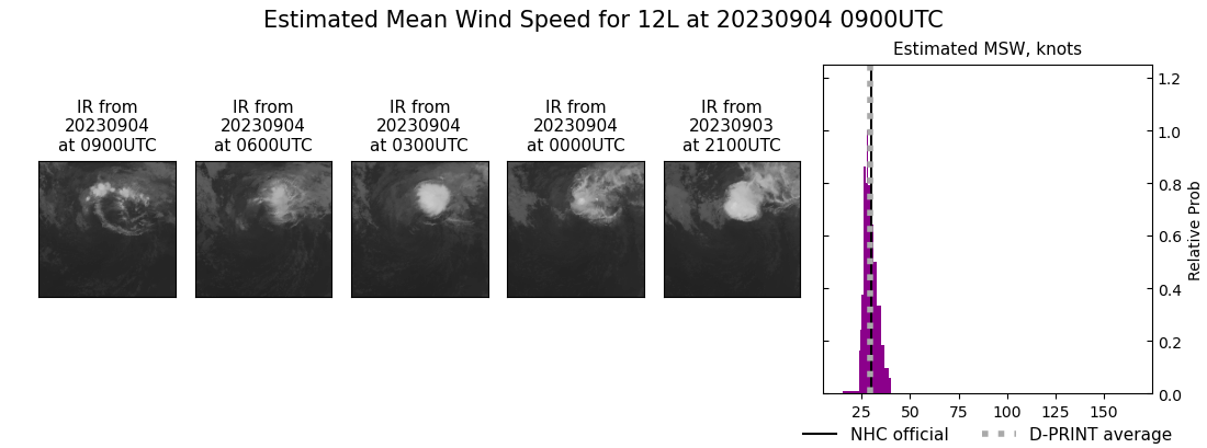 current 12L intensity image