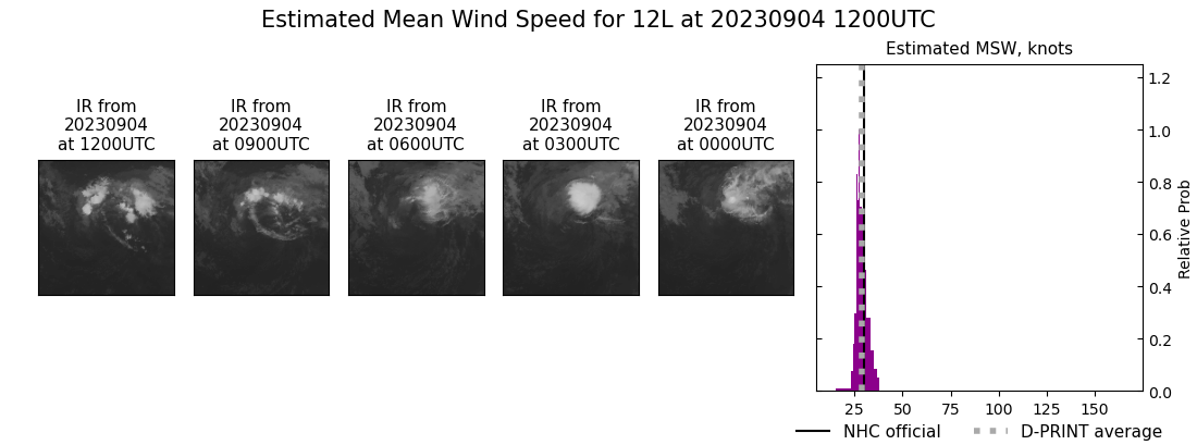 current 12L intensity image