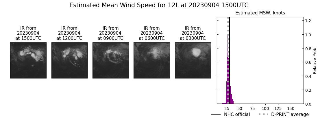 current 12L intensity image