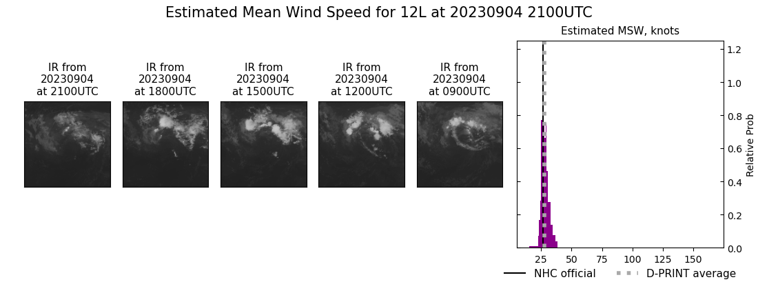 current 12L intensity image