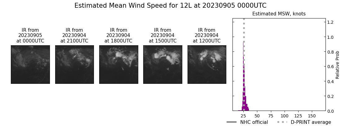 current 12L intensity image