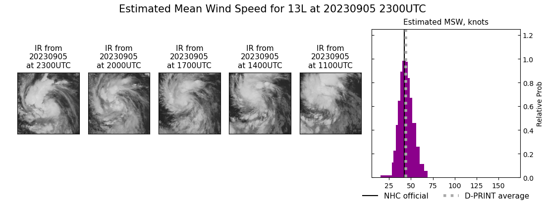 current 13L intensity image