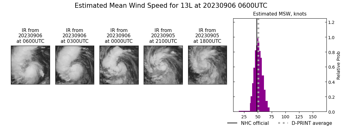 current 13L intensity image