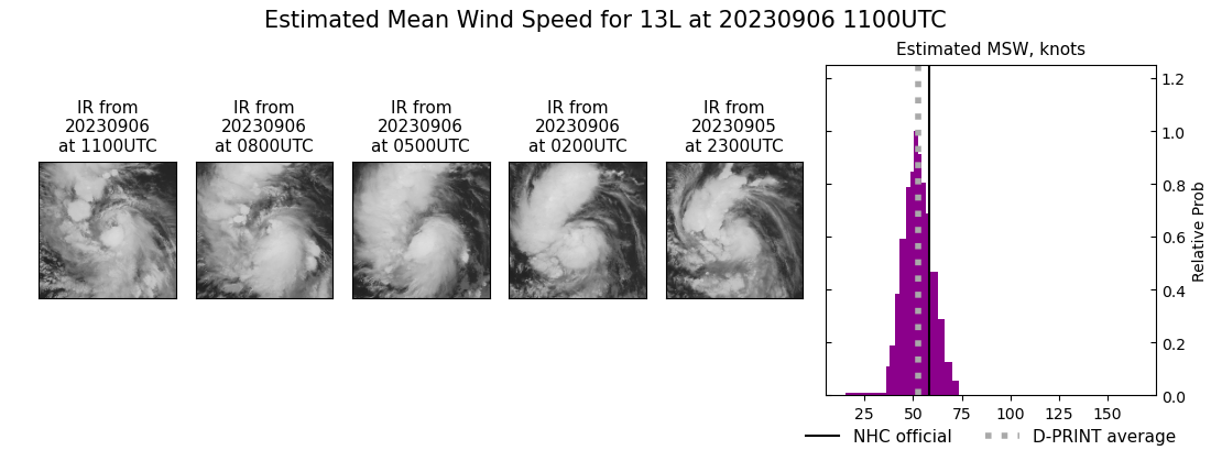 current 13L intensity image