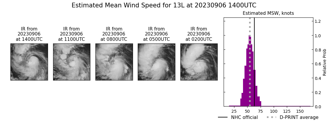 current 13L intensity image