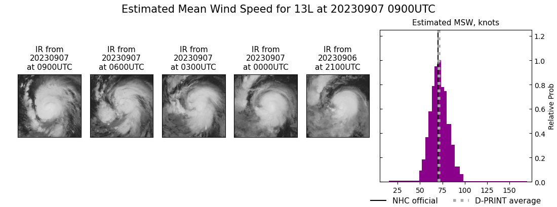 current 13L intensity image