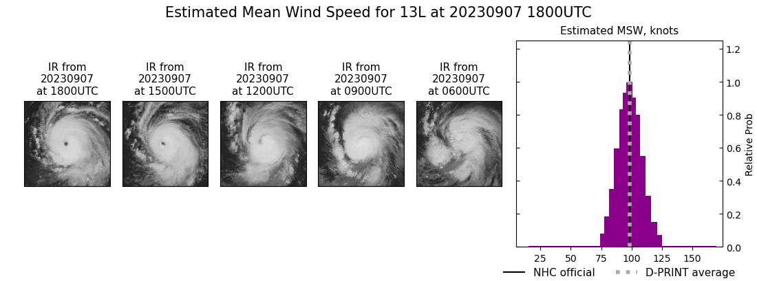 current 13L intensity image