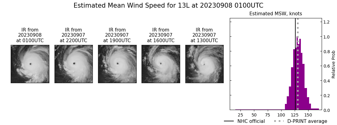 current 13L intensity image