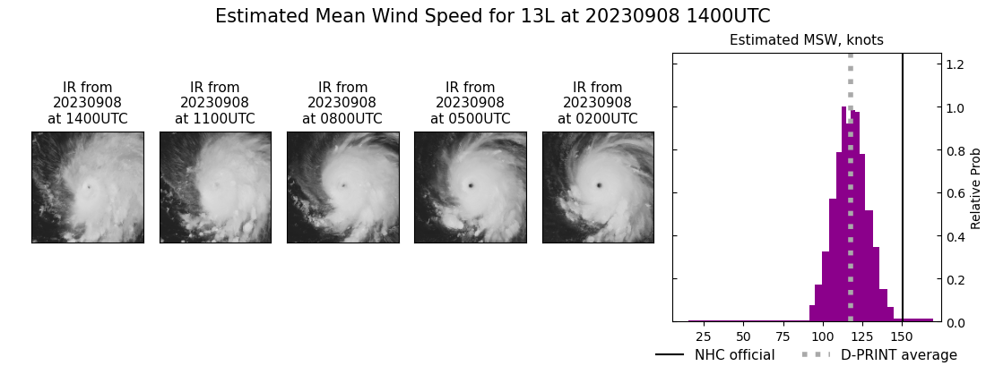 current 13L intensity image