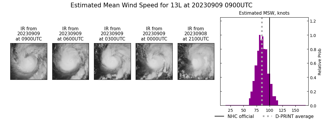 current 13L intensity image