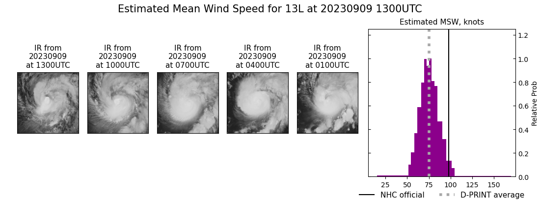 current 13L intensity image