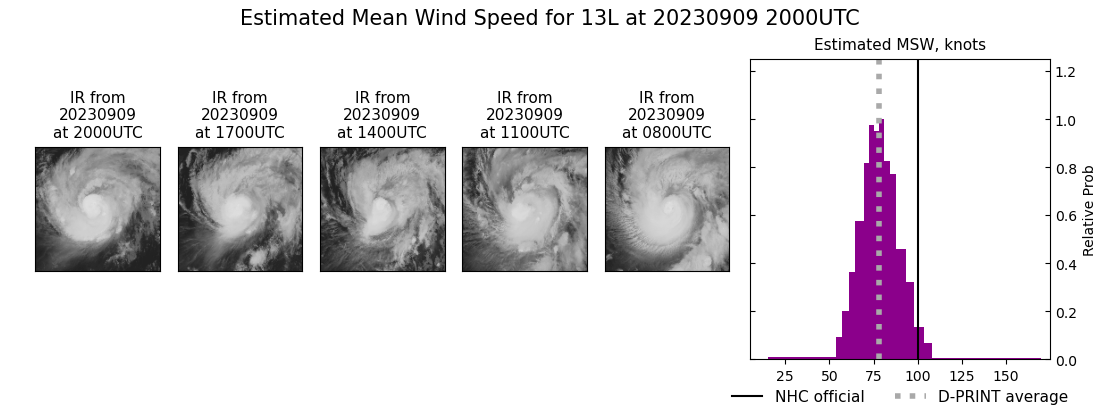 current 13L intensity image