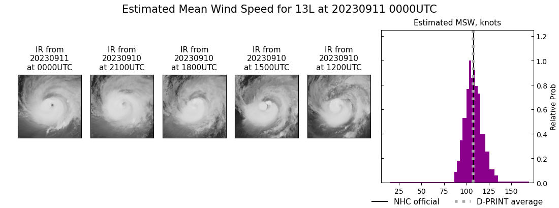 current 13L intensity image