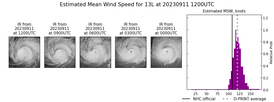 current 13L intensity image