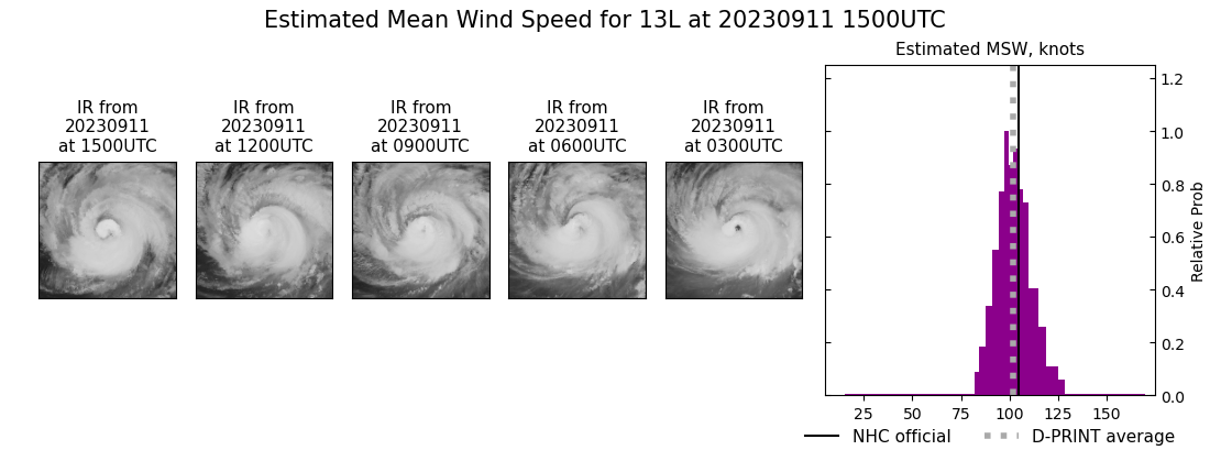 current 13L intensity image