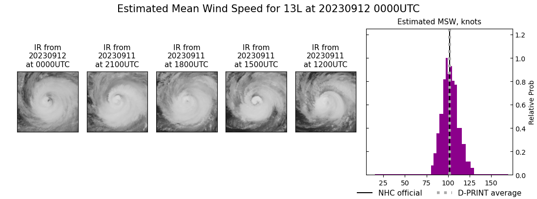 current 13L intensity image