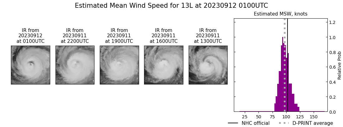 current 13L intensity image