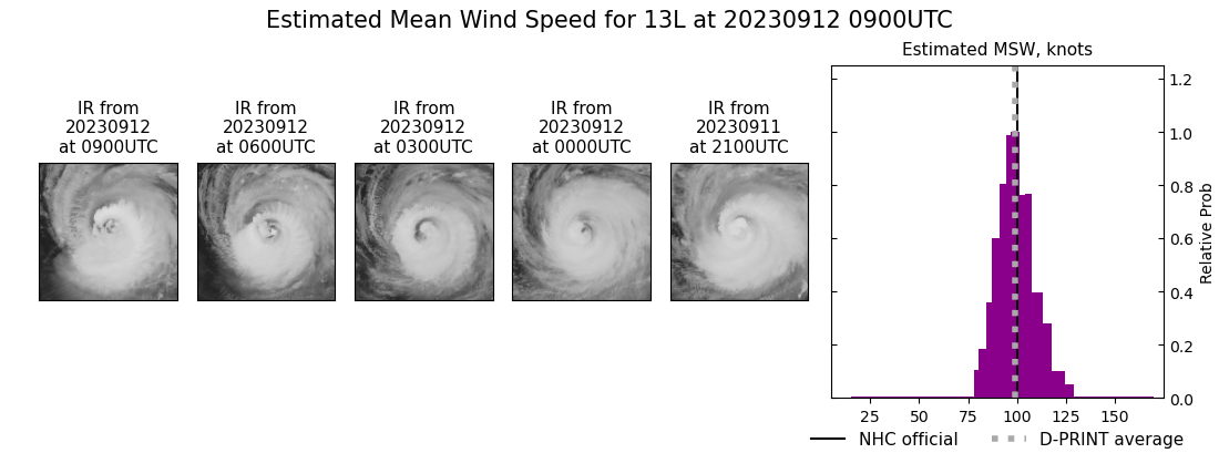 current 13L intensity image