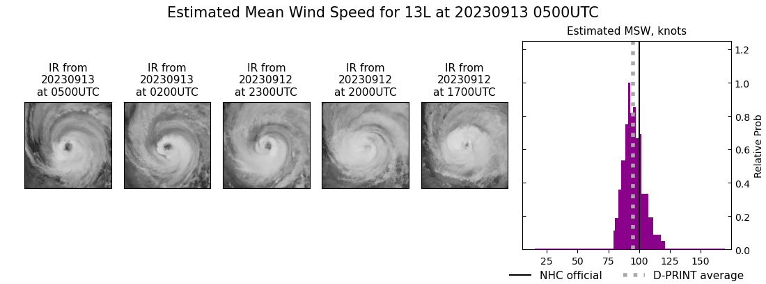 current 13L intensity image