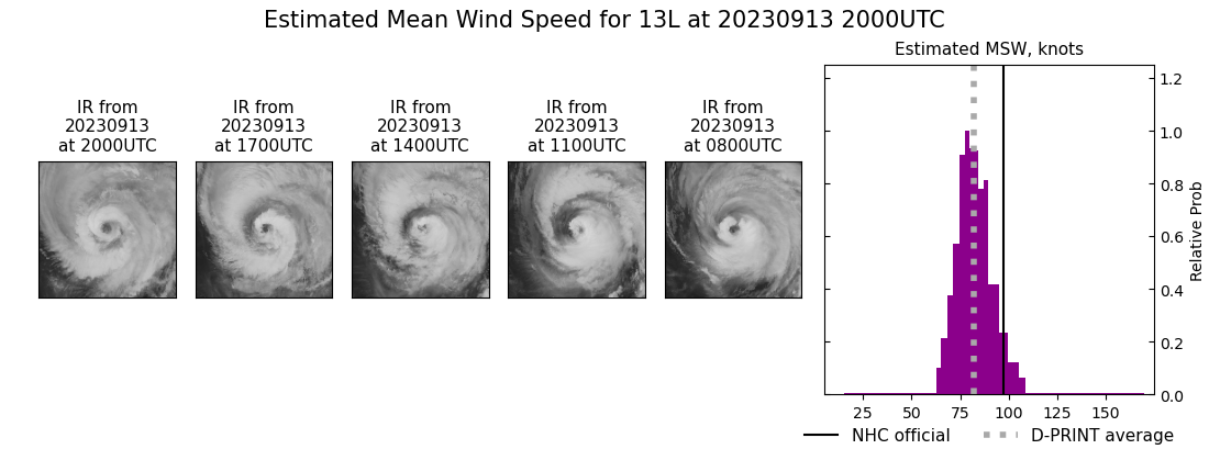 current 13L intensity image