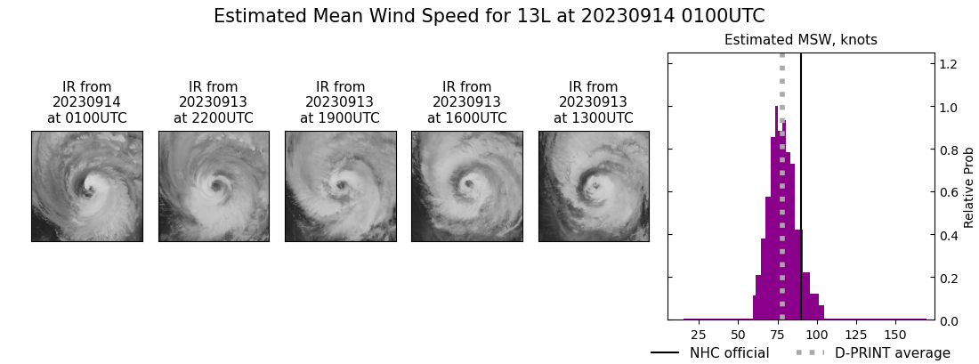 current 13L intensity image