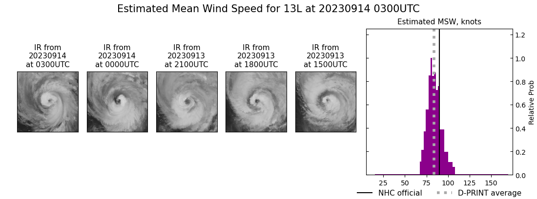 current 13L intensity image