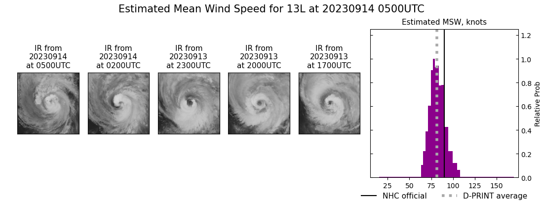 current 13L intensity image