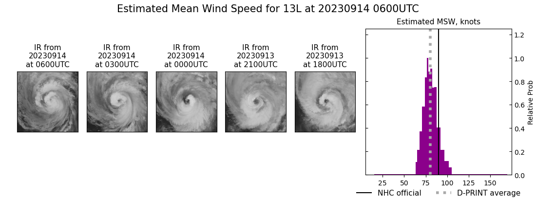 current 13L intensity image