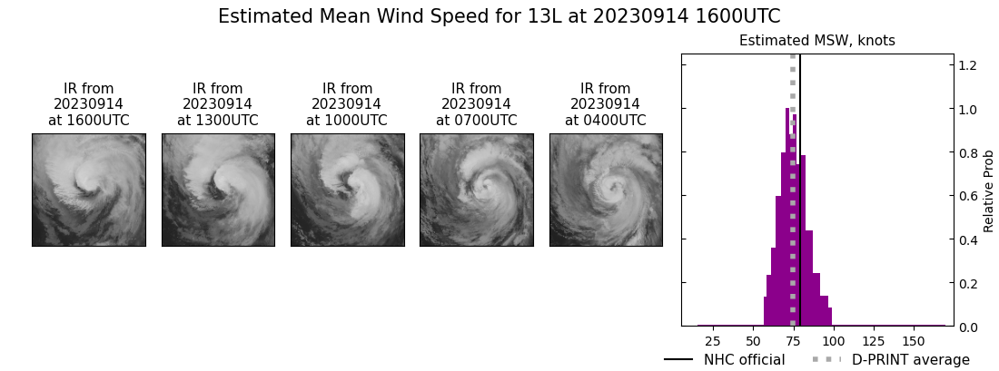 current 13L intensity image