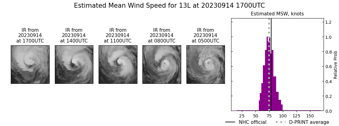 current 13L intensity image