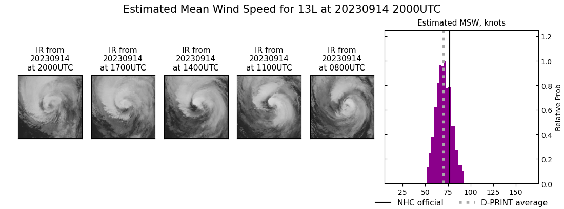 current 13L intensity image