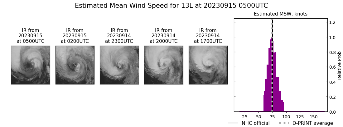 current 13L intensity image