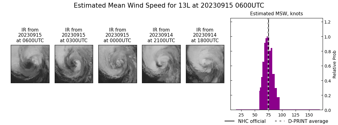 current 13L intensity image