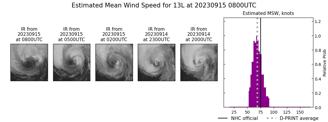 current 13L intensity image